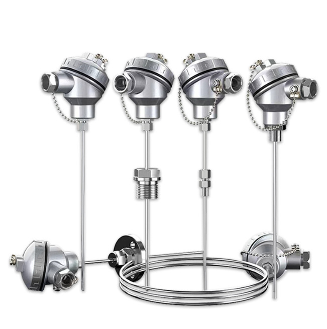 铠装热电阻WZPK2-23 5L=300mm PT100