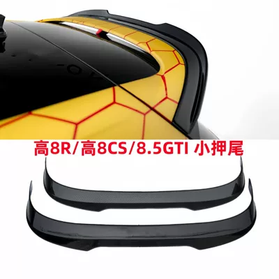 8CS special MAX small – Fixed wind wing