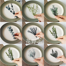 ��Ұ��֧|���D÷����ǧ�ӽ��������ɻ�diy���ϰ��Gɫ���~ֲ��˱�