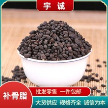 补骨脂批发补骨脂籽子批发大货破故纸胡韭子农产品补骨脂粉