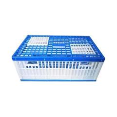 Pigeon supplies, pigeon equipment, pigeon release cages, training release cages, foldable racing pigeon cages, wooden pigeon cages, competition cages, and training pigeon cages