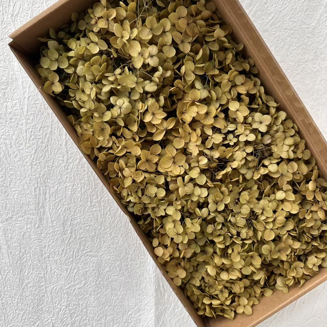 Absorption de la couleur jaune clair / 5G en boîte