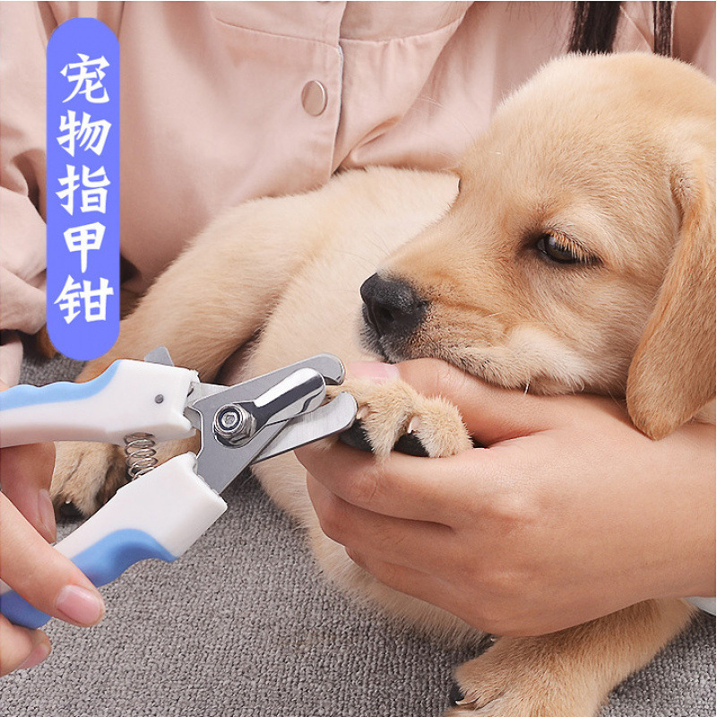 ペット犬の爪切り爪切り犬の爪切り猫の爪切り爪切りペット用品|undefined