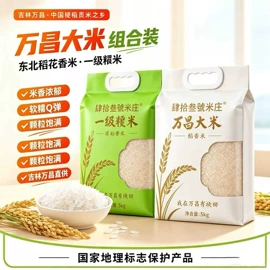 大米