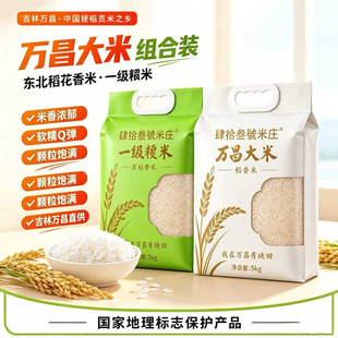 �ӹ�����10����b�峣������|�����׿���Օ��N���Y�Y���b����