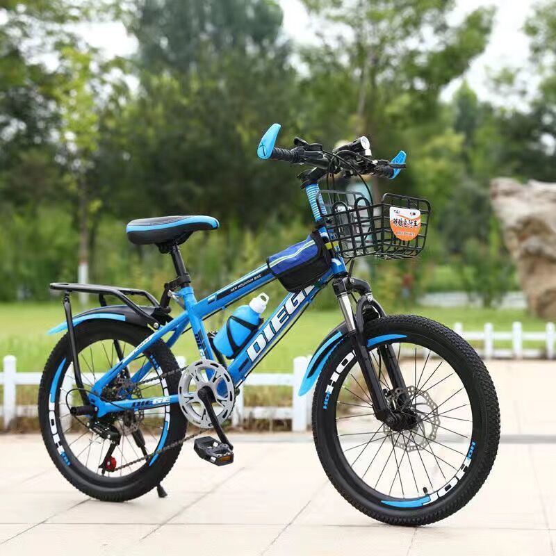 Shock-absorbing bike shifter (brake handle), set disc brake
