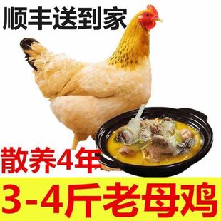 ��S��ֻ���u�r��ɢ�B��ĸ�uɽ���ߵ��u�F�����r�u����u�������u