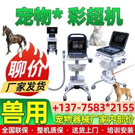 动物宠物兽用B超厂家 兽用B超机马用B超价格