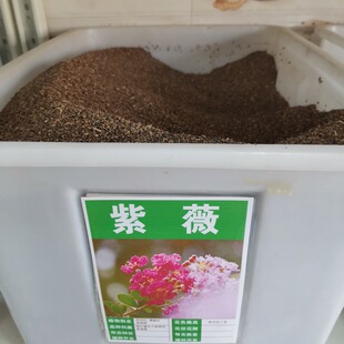 美國紅火箭紫薇圖片 海量高清美國紅火箭紫薇圖片大全 阿里巴巴