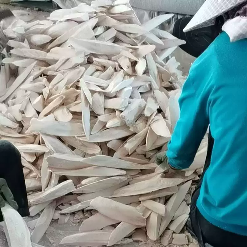 Оптовая каштановая кость для фрезерования блоков источник морепродукты кальмаровые кости полировка удаление соляного раствора зубная молярная добавка кальций