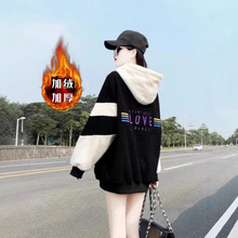 �ӽq�Ӻ����ë�q��Ů�ﶬ��2026�¿��������n�汣ů���q�l��