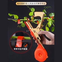 �¿����ѽ�֦�C�����t���ٽ�֦�����S�Ͻ�������z������֦�����C