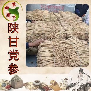 ɽ��؛�^�����h�� ����ă��o��Ұ���h����؛�в�ș�����l �y�h��