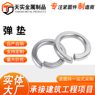 F؛| \ɉ|Ȧ ɉ|Ƭ_ډ|Ȧ