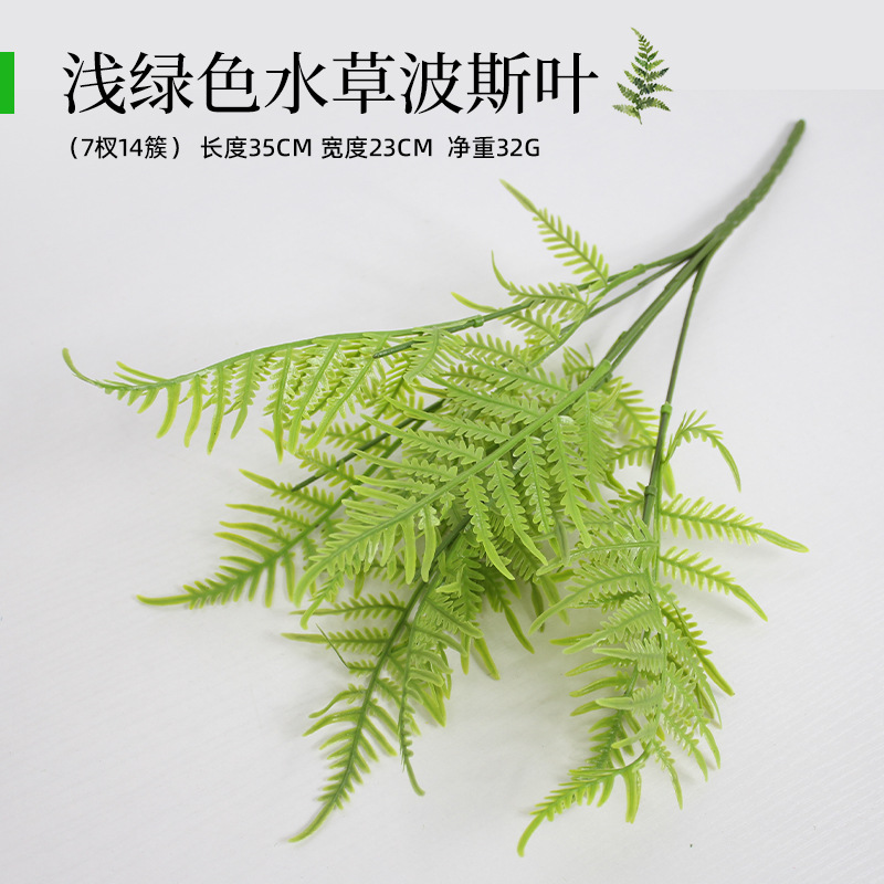 Persa acuático verde claro