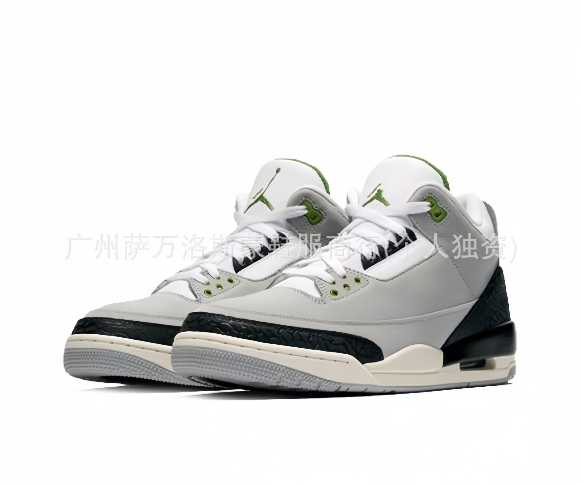 aj3 엽록소