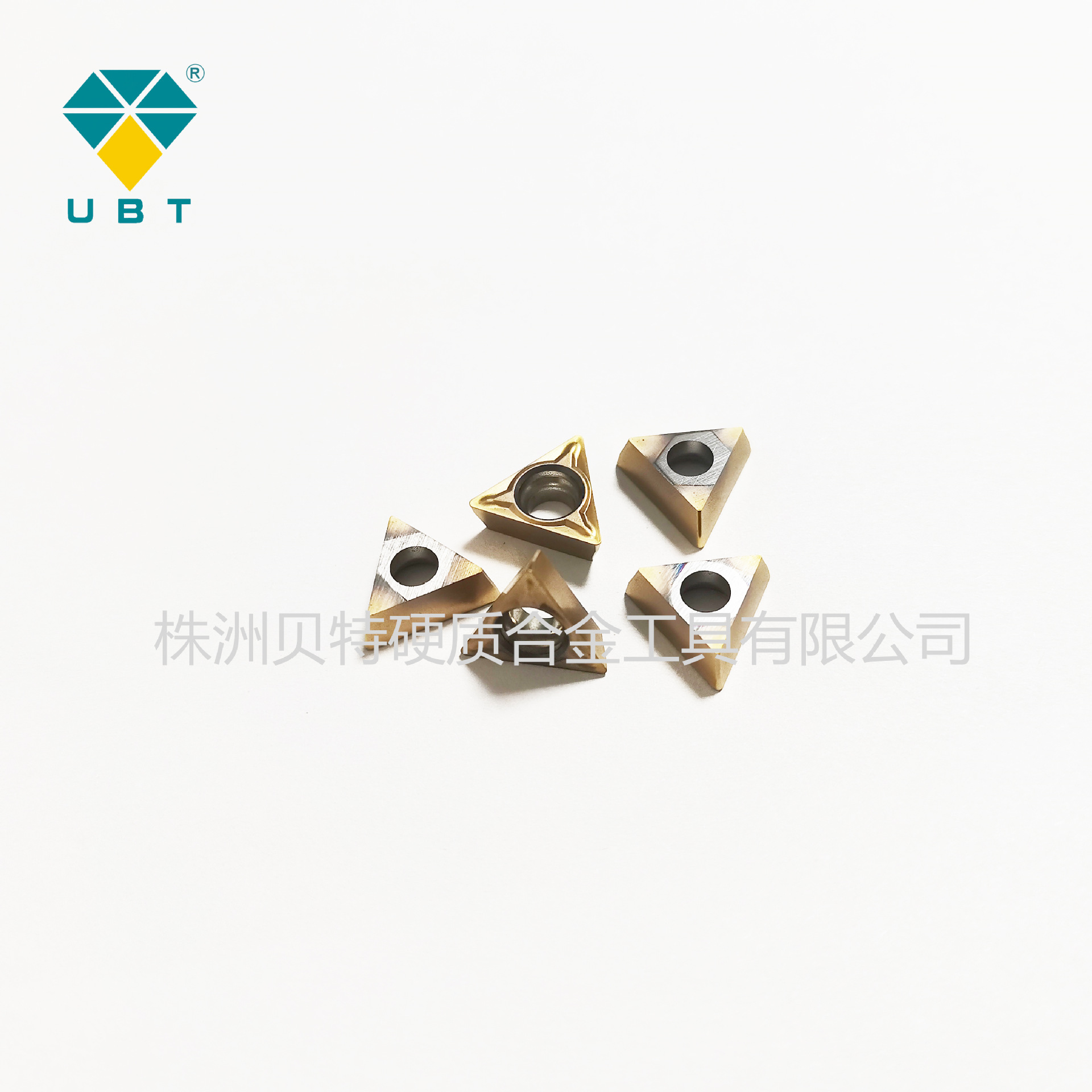 微信图片_20231026171947-1