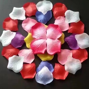 �S�����l1000Ƭɢ�b�o����õ�廨�� ���滨�� ��c����ٻ������