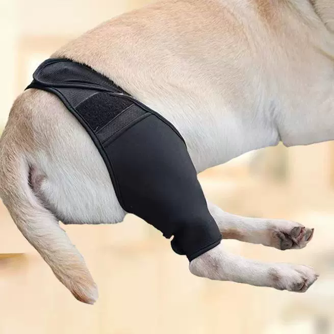 Перелом ноги питомца фиксированное Защитное снаряжение травма задней ноги собаки послеоперационная реабилитация вспомогательный пояс наколенник для домашних животных защитный чехол