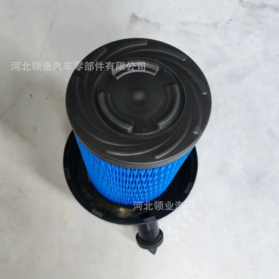 Air filter 12-9300 P953446 Af25119