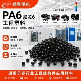 PA6;PA66;PPA