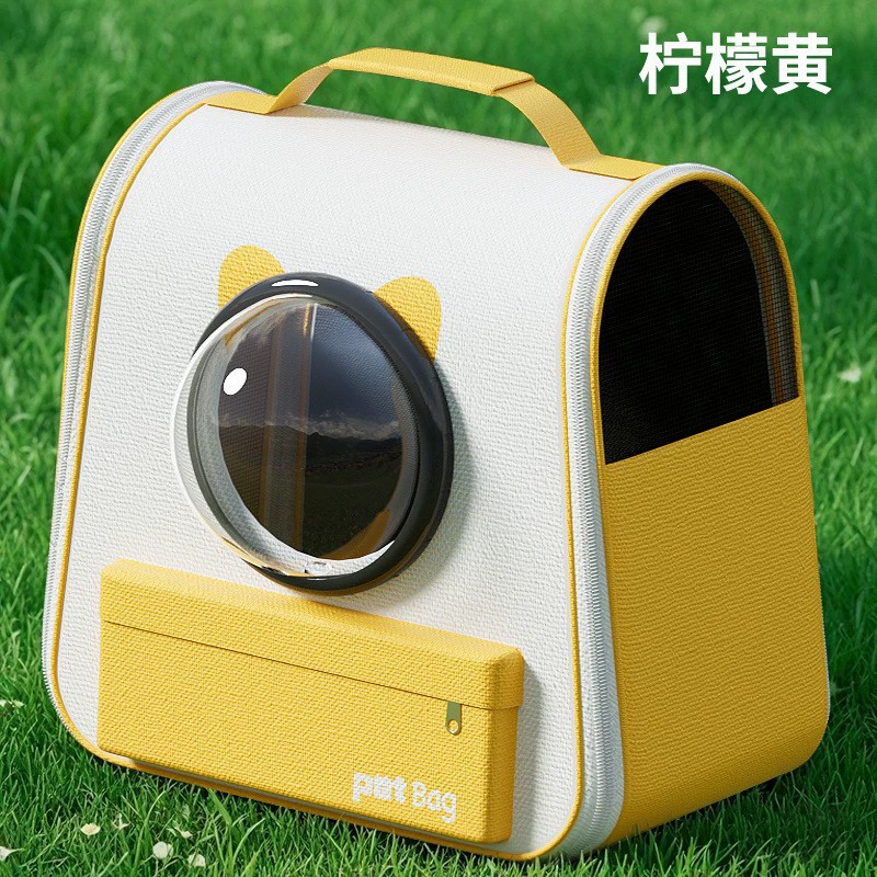 Space capacious backpack, handheld school bag to go out