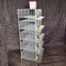 鸟类立式鹌鹑养殖笼具加粗加密镀锌H型鹌鹑笼阶梯立式鸟类繁殖笼