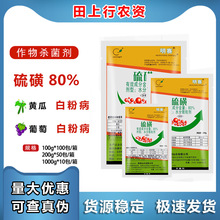 �������r ��ِ80 %��� �S�����ѹ��� �׷۲��rș������1000g