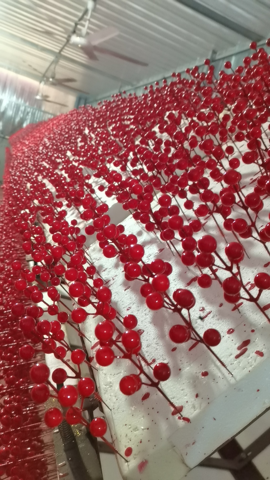 28d3f06ab9d2ed2964c82ca36cb80a