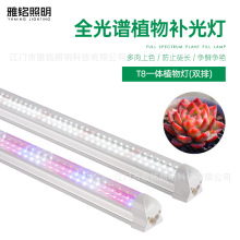 LEDֲ��������18W36WT8Ҷ�˶�����������ȫ������������ƹ�