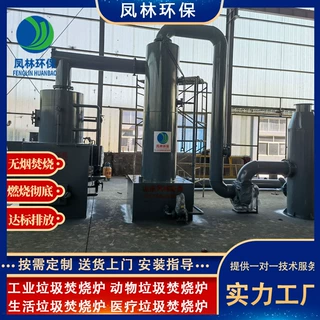 复式大型焚烧炉市政生活垃圾焚化炉移动式气化炉农村垃圾处理设备