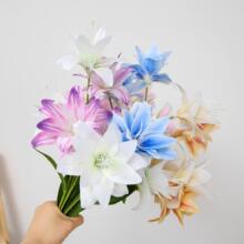 ܛ�z4�^ˮ�ɰٺϷ��滨�ҾӔ[�� ��c�Ƶ�Y��·�� �廨�bٻ�