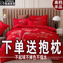 �Ӻ�ĥë�ļ���100%�H�w�ޱ��ֻ�c���p�˴���б�y��������������