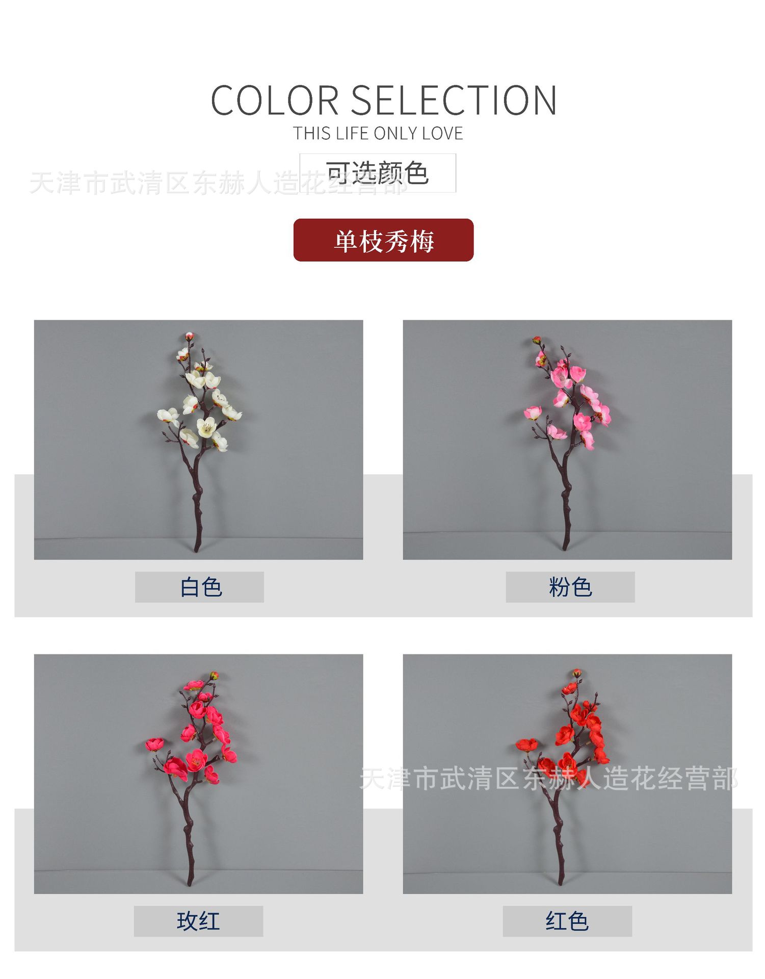 秀梅 详情_02.jpg