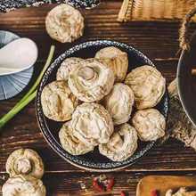 內蒙古特產新貨特級口蘑干貨雙孢菇新鮮煲湯食材白蘑菇干批發價格