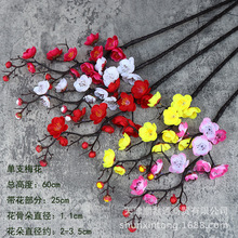 ���滨�D÷ ÷���bٻ�÷��֦�쾰�^�[�O�廨�������߷����D÷