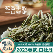 福鼎高山白茶 春茶白牡丹老白茶陈年花香毫香茶饼散茶500克厂家批