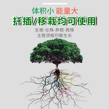 樹木活性生根劑果樹移栽扦插發根強力生根液植物通用型生根壯苗劑
