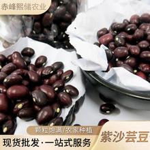 SҹψAܿ  ܿ   sZɰܿl