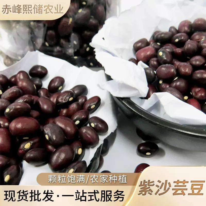 厂家供应紫圆芸豆  紫芸豆   五谷杂粮紫砂芸豆批发
