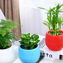 �lؔ��d�ӻ�����G�}�J�C�k���҃ȃ����՚�Gֲ���滨��ˮ��ֲ��