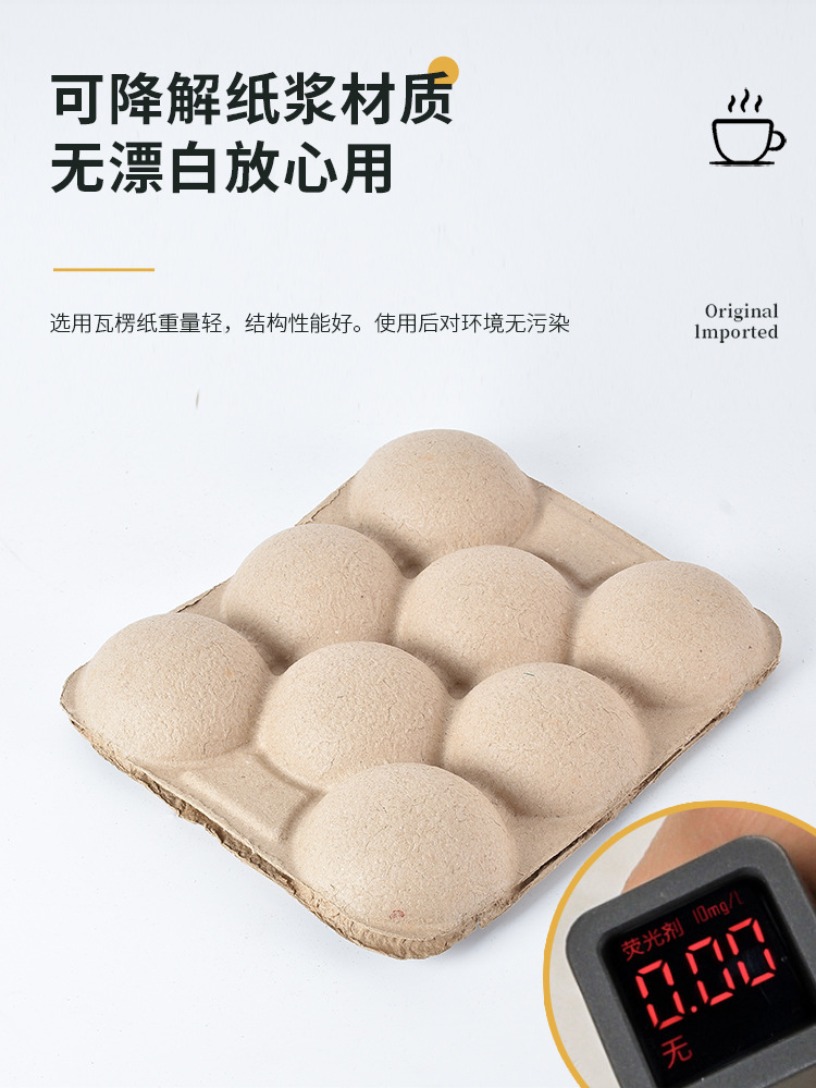 13.16果蔬纸浆托 (3).jpg