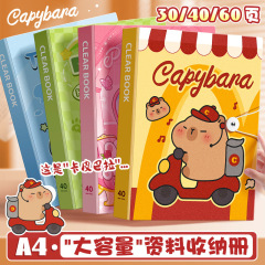 カピバラA4資料冊ファイル高透明インサート答案収納袋賞状収集冊小学生用