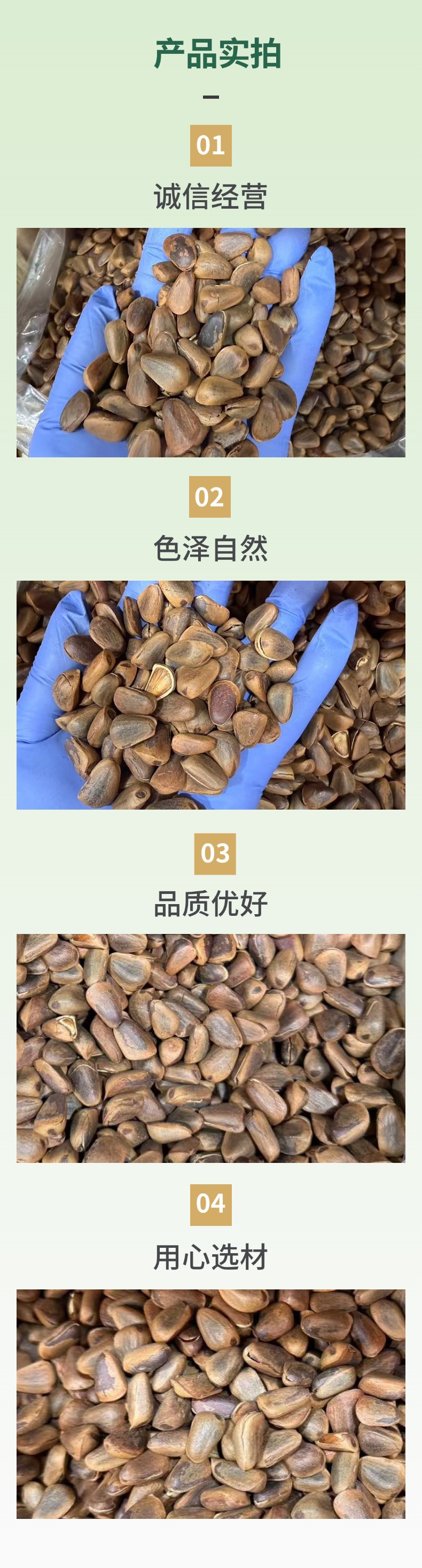 Northeast Open Shell Pine Nuts Hand Peeled Nut Kernels Fresh Snack Retail and Wholesale specifications