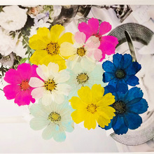 ˹ոɣȾɫɻlֲ˱ֹNzdiy