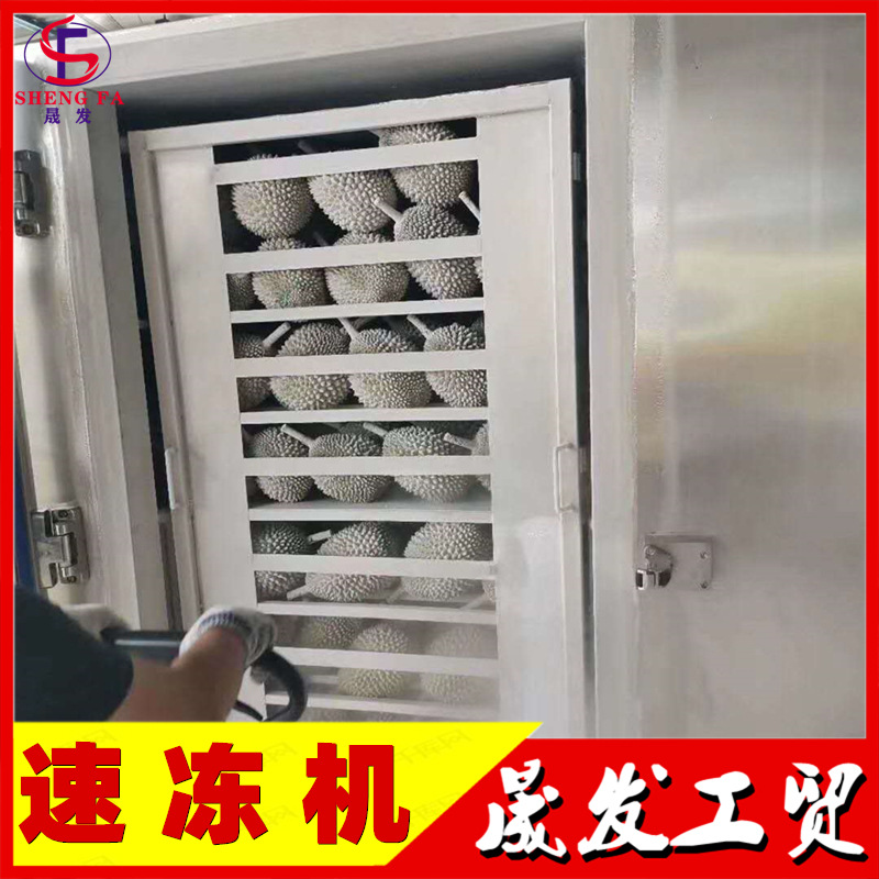 晟发系列果蔬液氮速冻机 肉丸超低温隧道式速冻机 真空冻干机