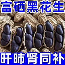 �����ڻ�����Ʒ��Ϻڻ����������»��������Bθ��������Ƥ����