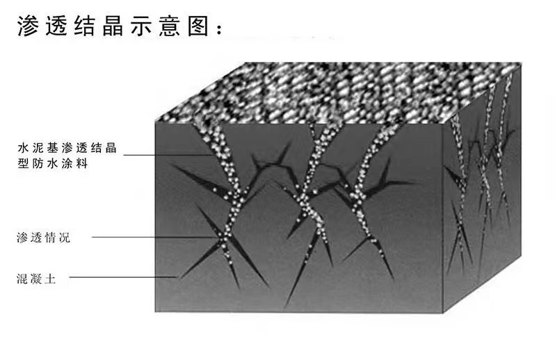 微信图片_20230302175329