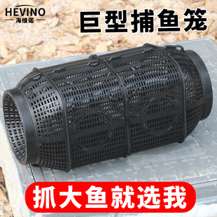 �����~�~�\�~�Wֻ�M�����O�W�S�X���q�r�\���r�W�\�з���~�\��̖