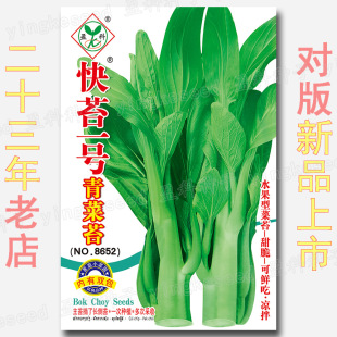 ��̦һ̖���̦�N�� �s3000�� �ļ����rʳ���ɳ��ˮ���Ͱײ�޷��